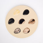 Horn Guitar Pick ~ Solid