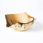 Large Abstract Horn Bowl