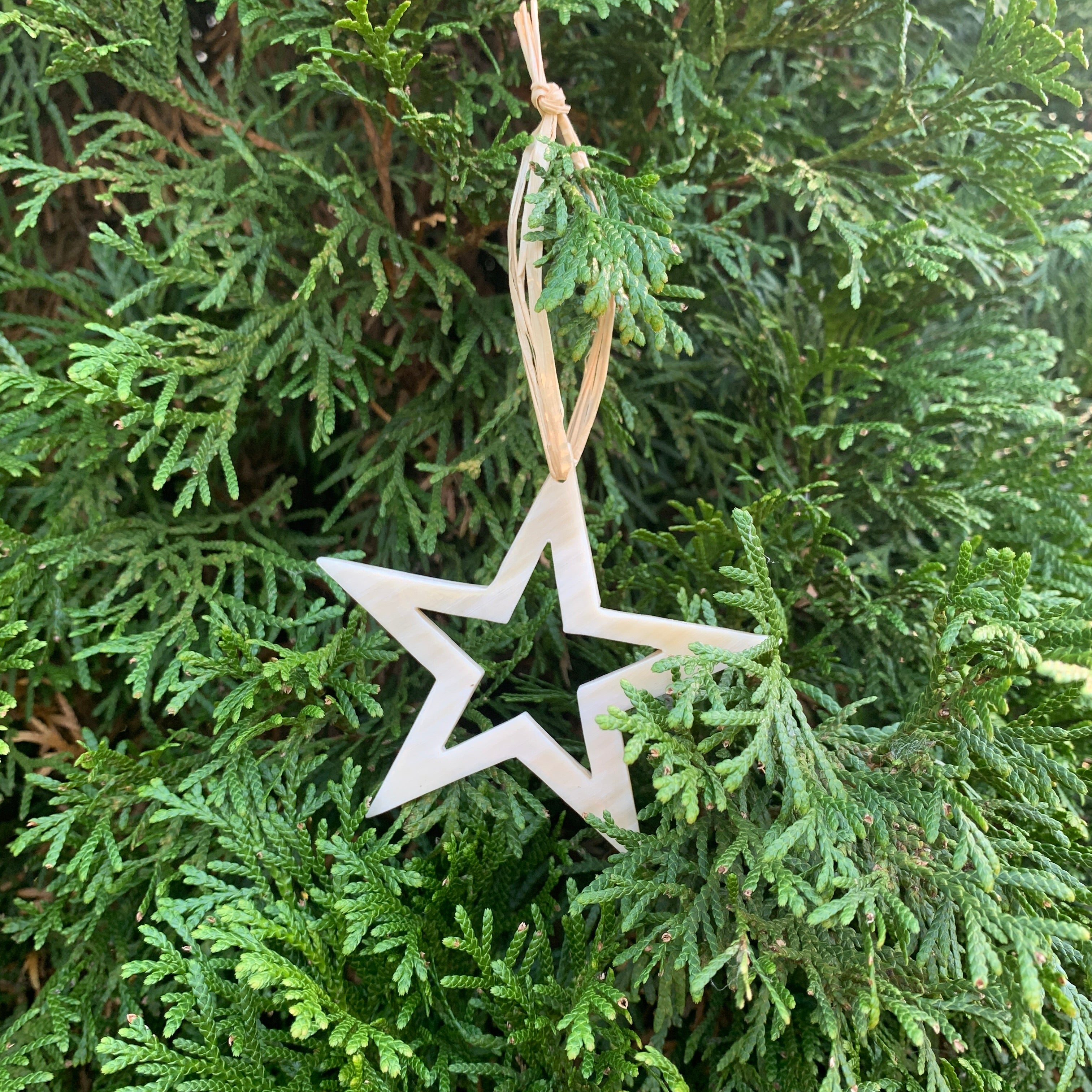 Horn Open Star Ornament